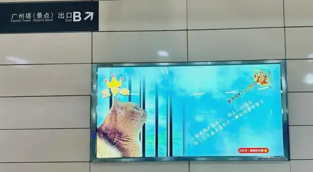 雷竞技RAYBET·(中国)官方网站广州地铁允许个人投放后秒变“整活现场”！你会(图5)