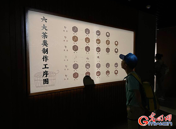 雷竞技RAYBET·(中国)官方网站文化和自然遗产日丨品味典籍里的“茶文化”(图2)